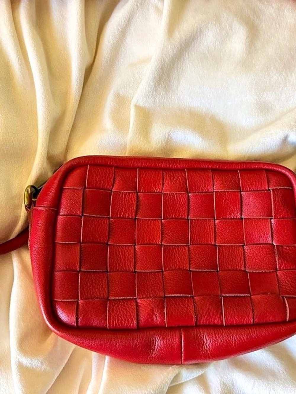 Madewell The Transport Camera Bag: Woven Leather Edition Red
